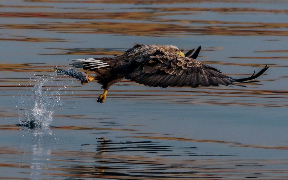 Photograph by Константин Тучин