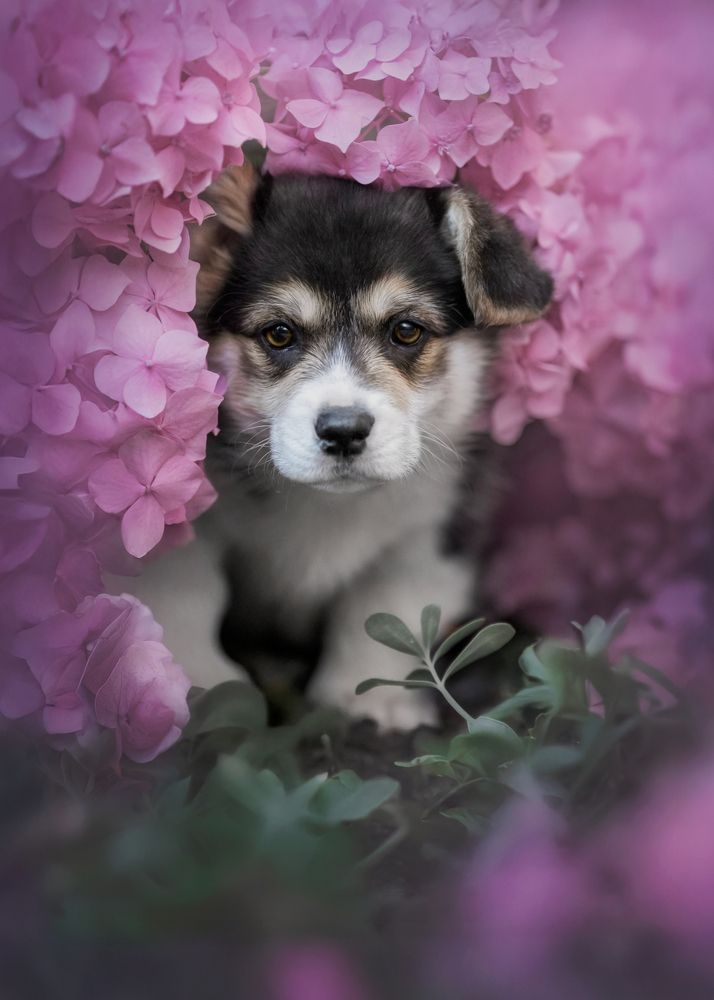 Photograph by Наталья Орел