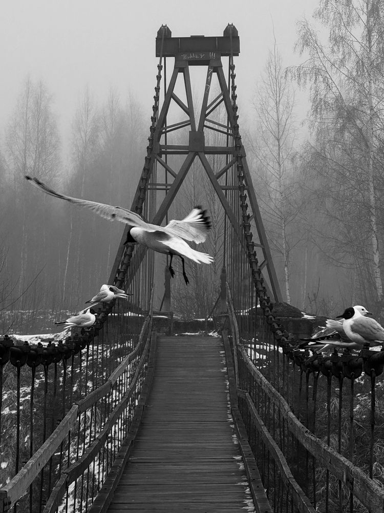 Photograph by Екатерина Хузина