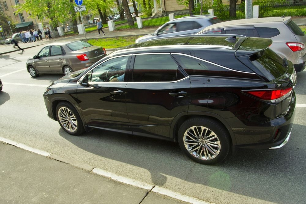 Фотография автора Клавдия Васильева