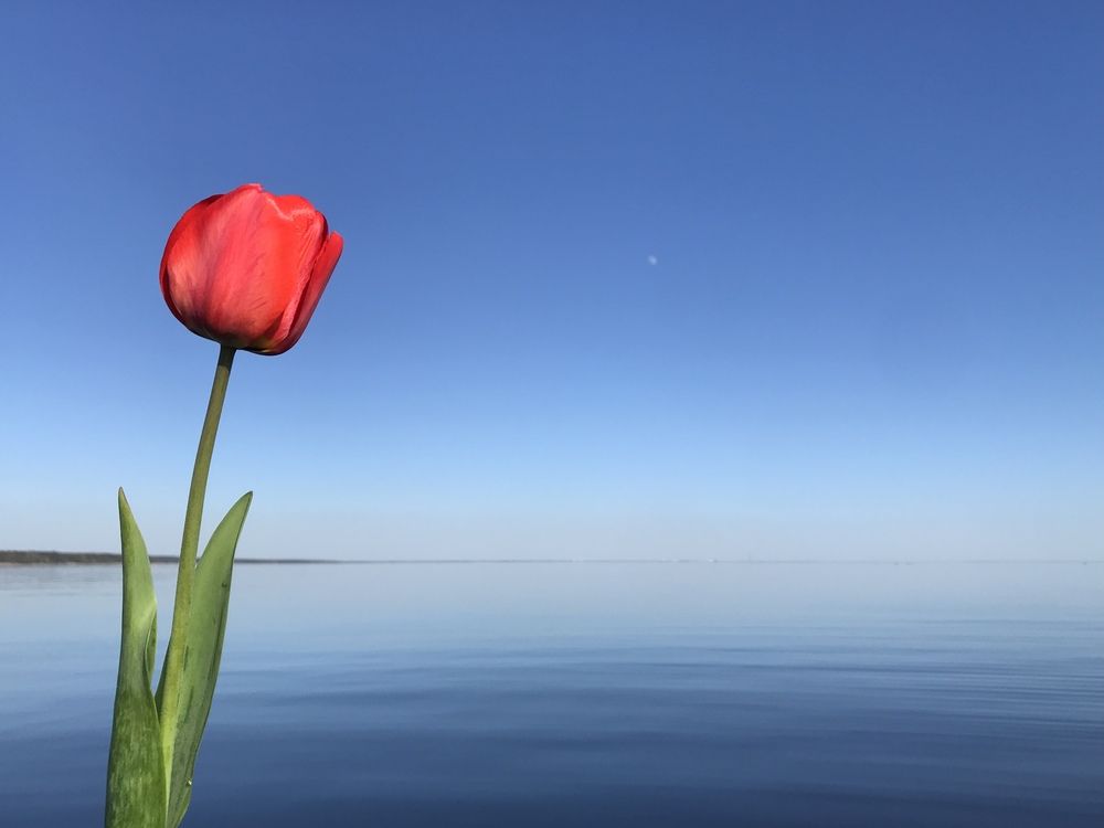 Фотография автора Галина