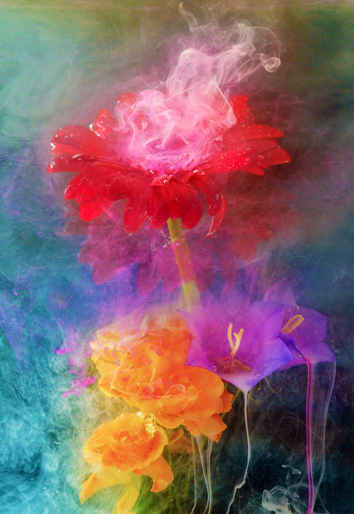 Фотография автора Inga Ivanova