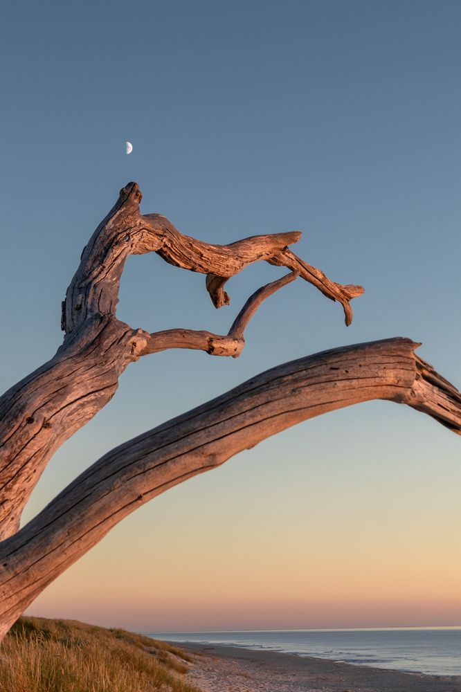 Photograph by Lapin Vitaly