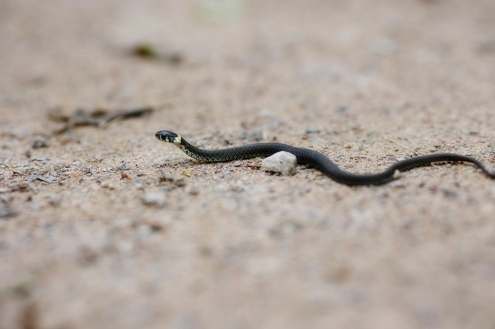 Photograph by Вербицкий Петр