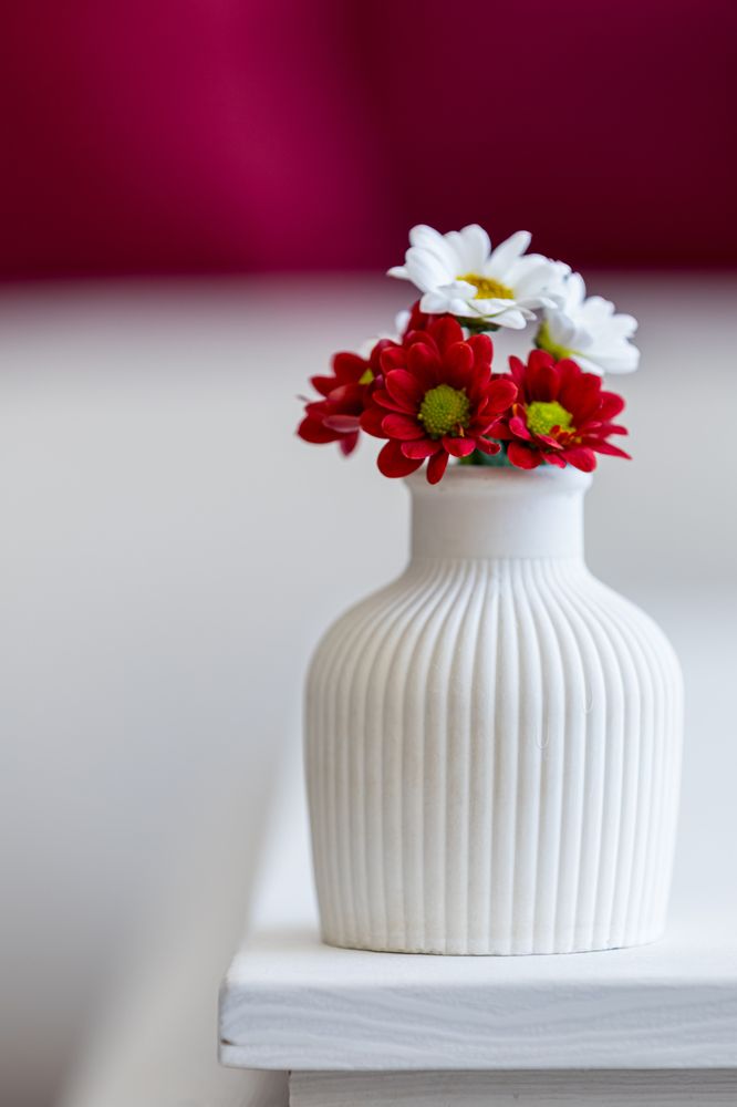 Photograph by Negah_ Photography_