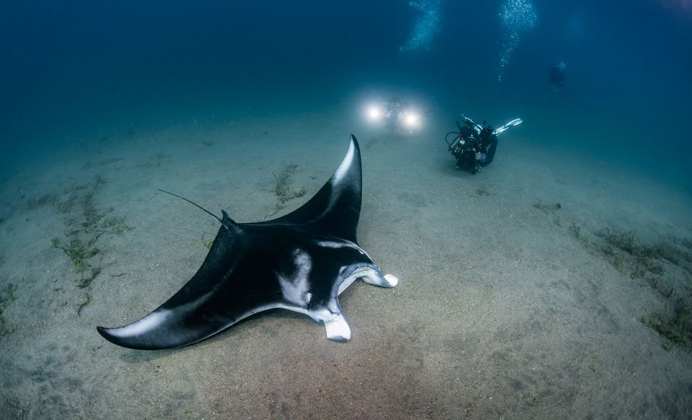 Photograph by Савин Андрей