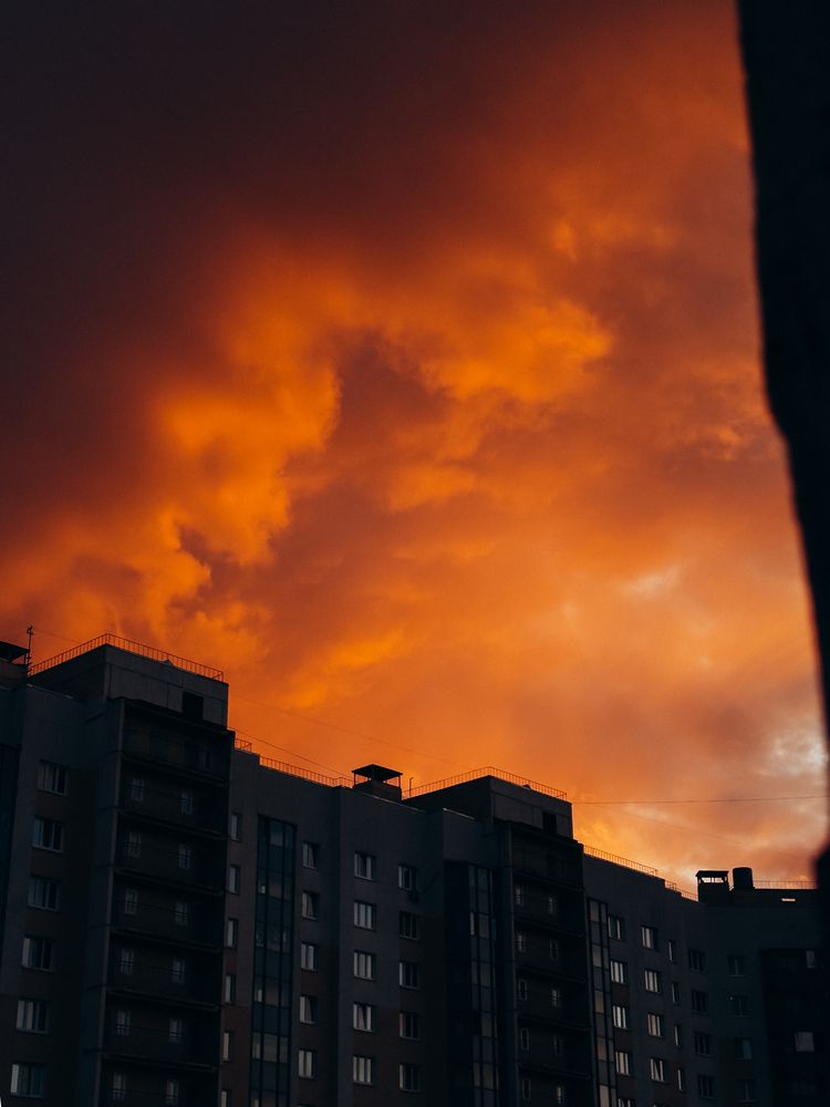 Photograph by Алиса Нежинская