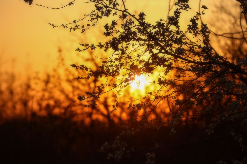 Photograph by Анна Абрамова