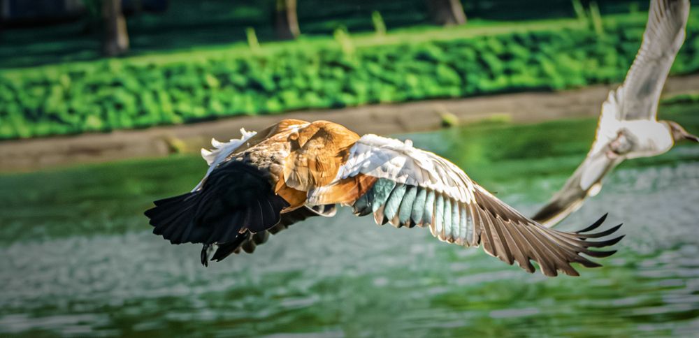 Photograph by Руслан Ибрагимов