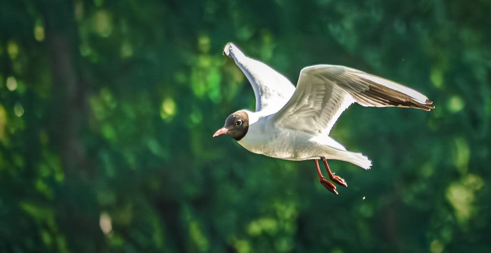 Photograph by Руслан Ибрагимов