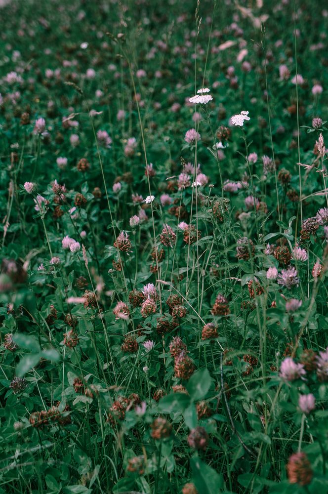 Фотография автора Рыбчинский Антон