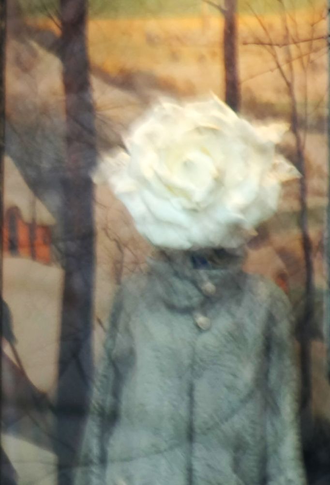 Photograph by Анна Ландграфская
