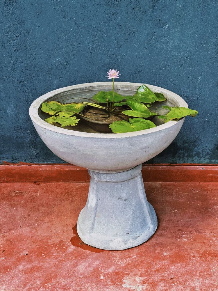 Фотография автора Евгения Никишина