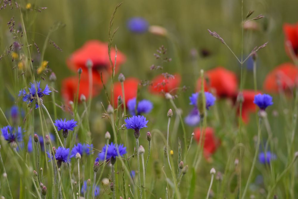 Photograph by Ljudmilla Pavljutsenkova