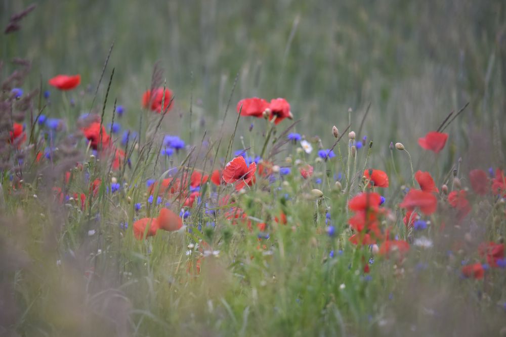 Photograph by Ljudmilla Pavljutsenkova