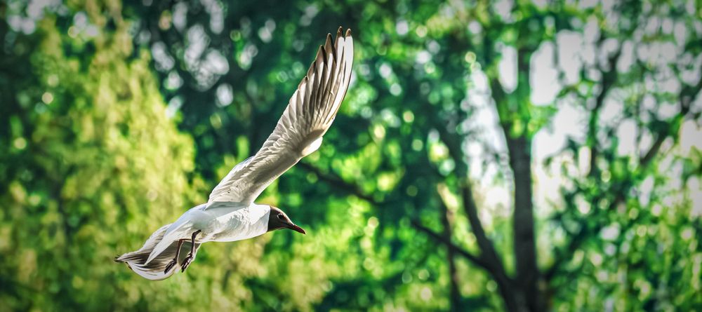 Photograph by Руслан Ибрагимов