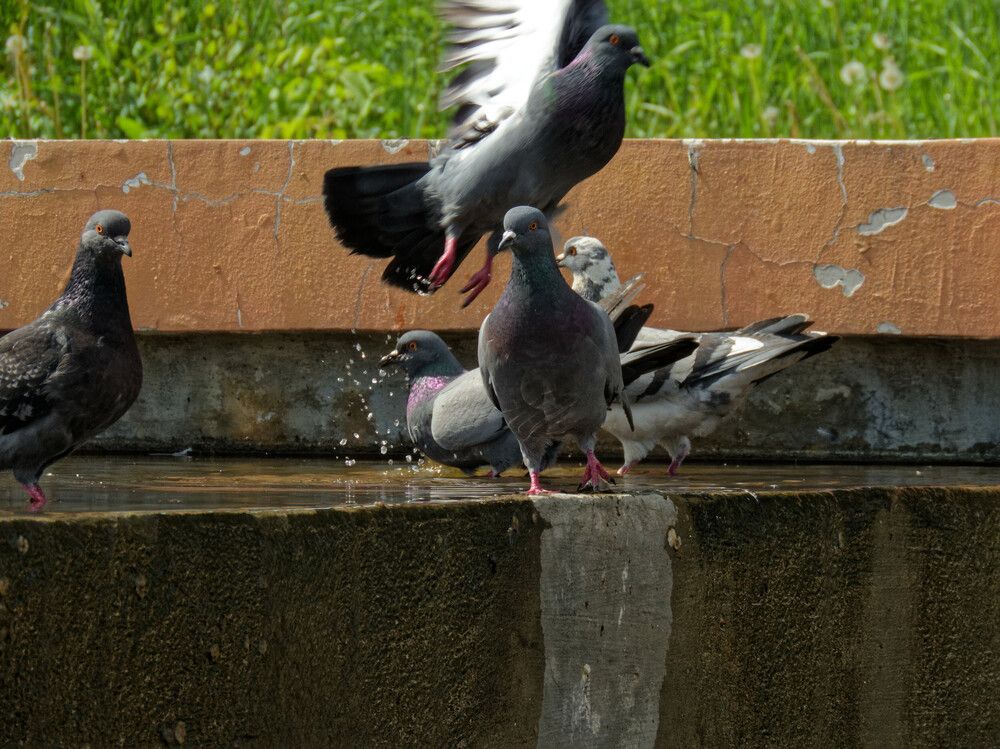 Photograph by Mad Mouse