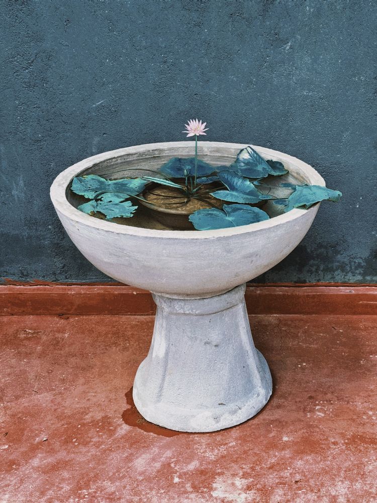 Фотография автора Евгения Никишина