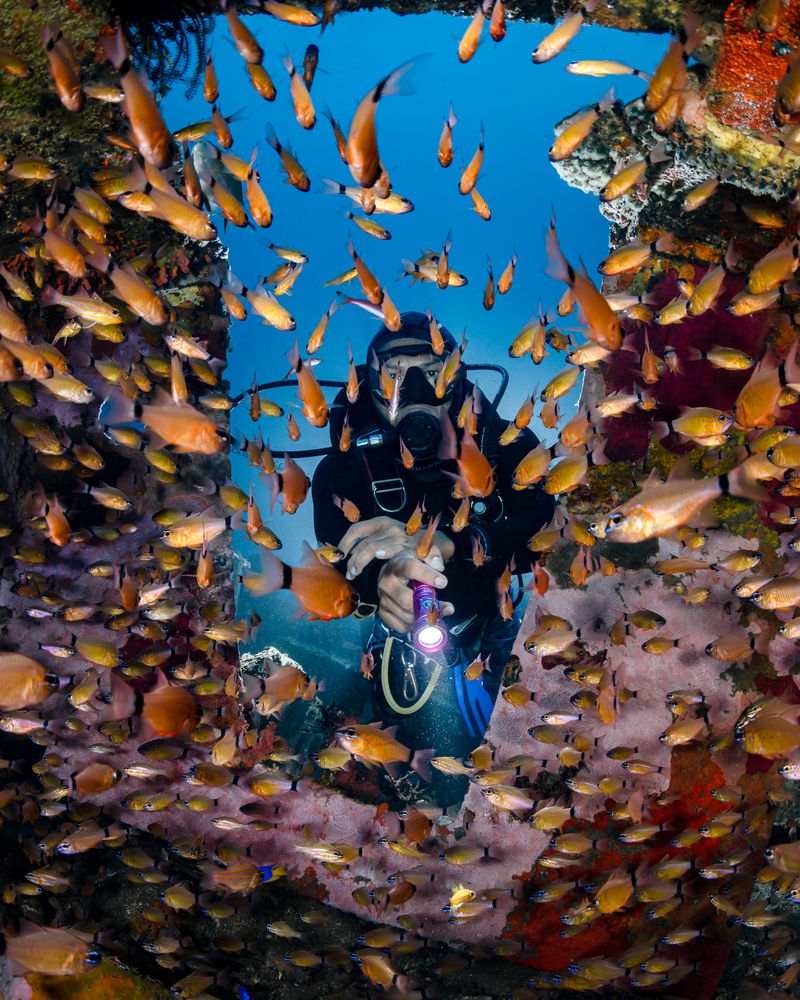 Photograph by Савин Андрей