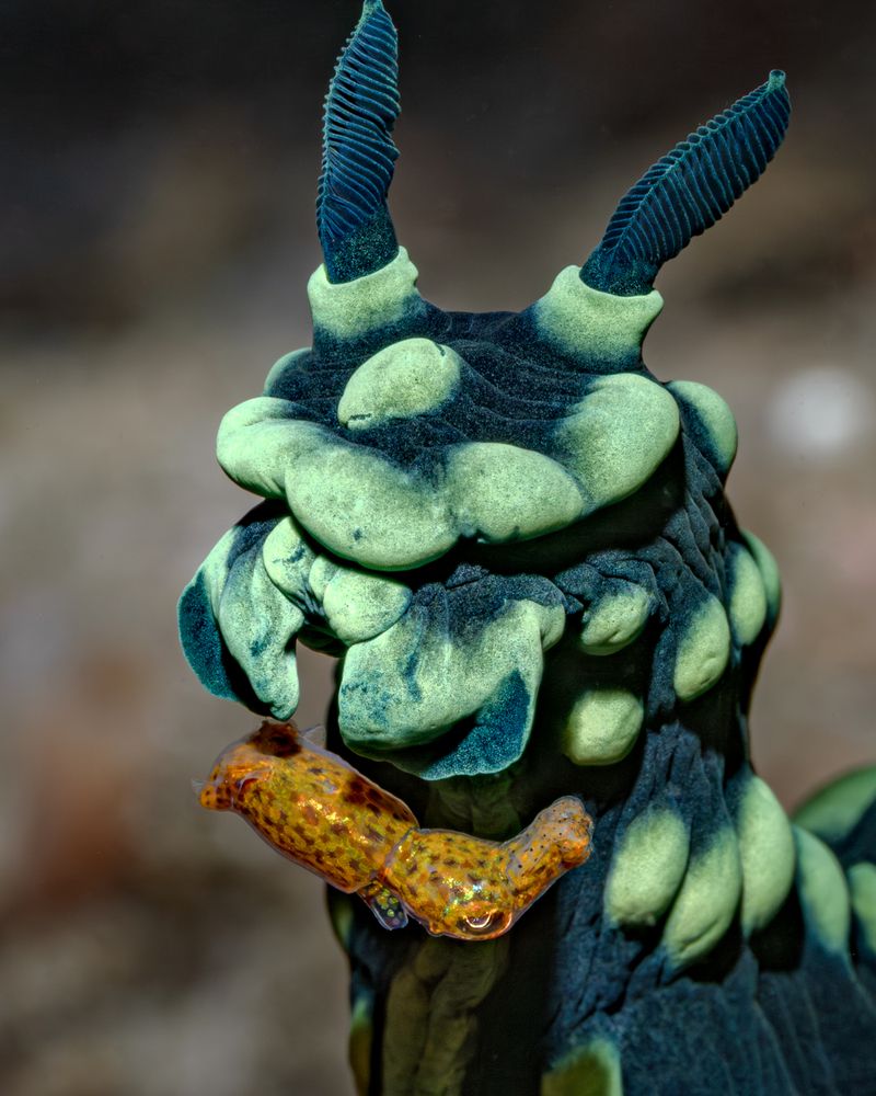 Photograph by Савин Андрей