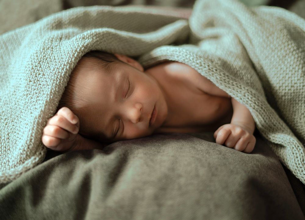 Photograph by Niloofar Almasiyeh