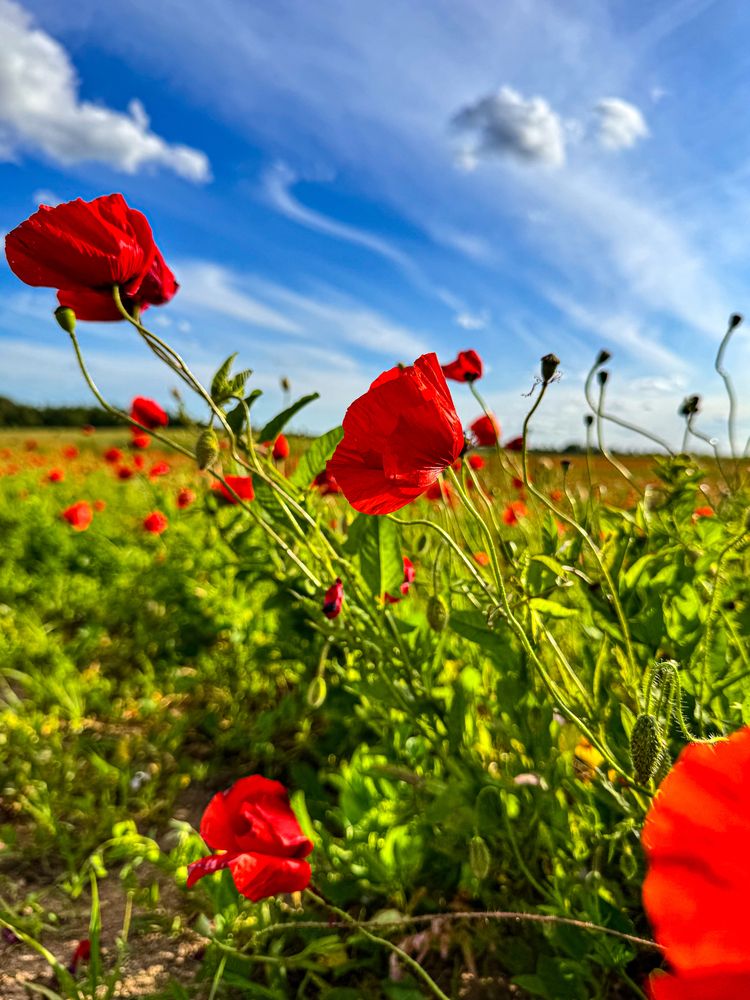 Photograph by Tanzilya Gabidullina