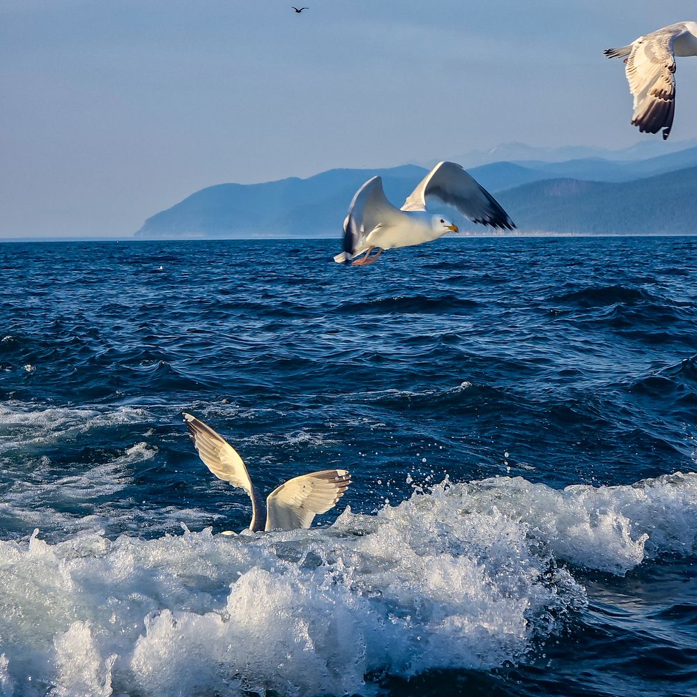 Photograph by Нина Зинченко