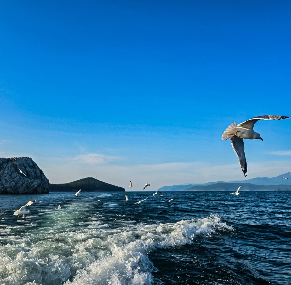 Photograph by Нина Зинченко