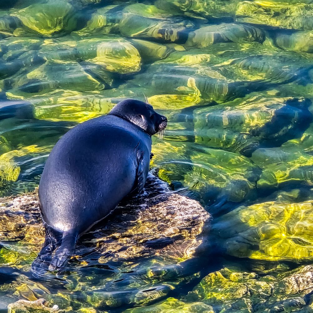 Photograph by Нина Зинченко