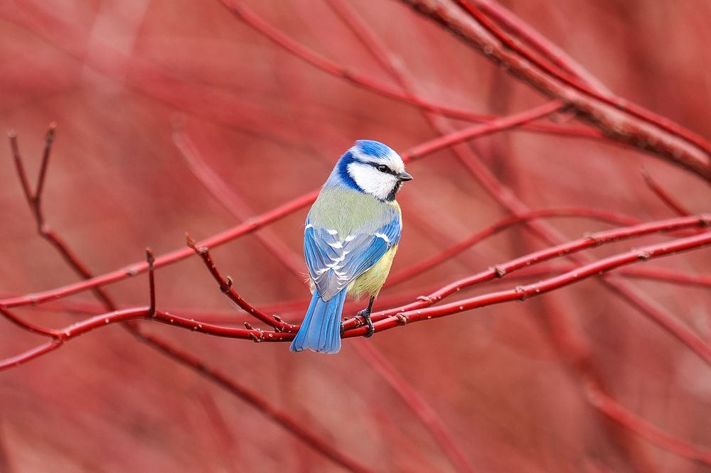 Photograph by Анжелика Титова