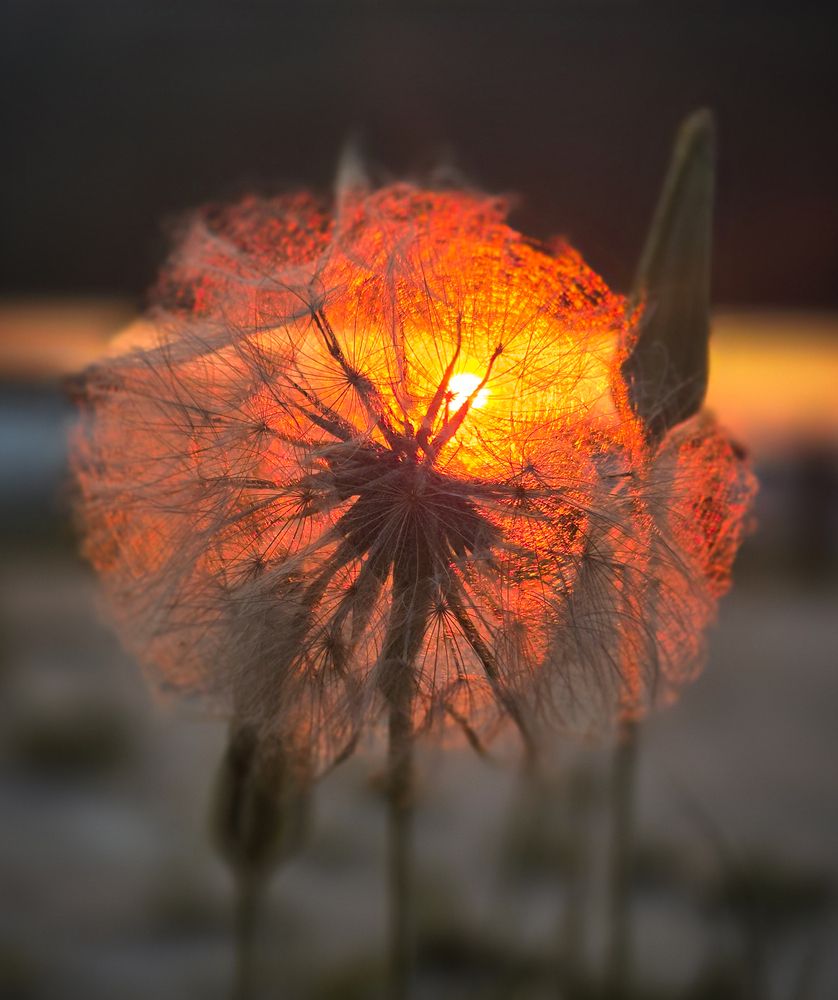 Фотография автора Нина Зинченко