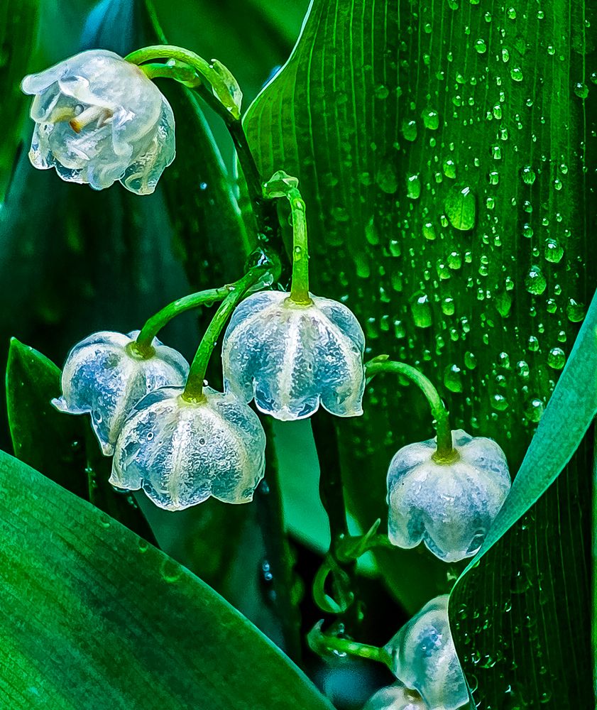 Фотография автора Нина Зинченко