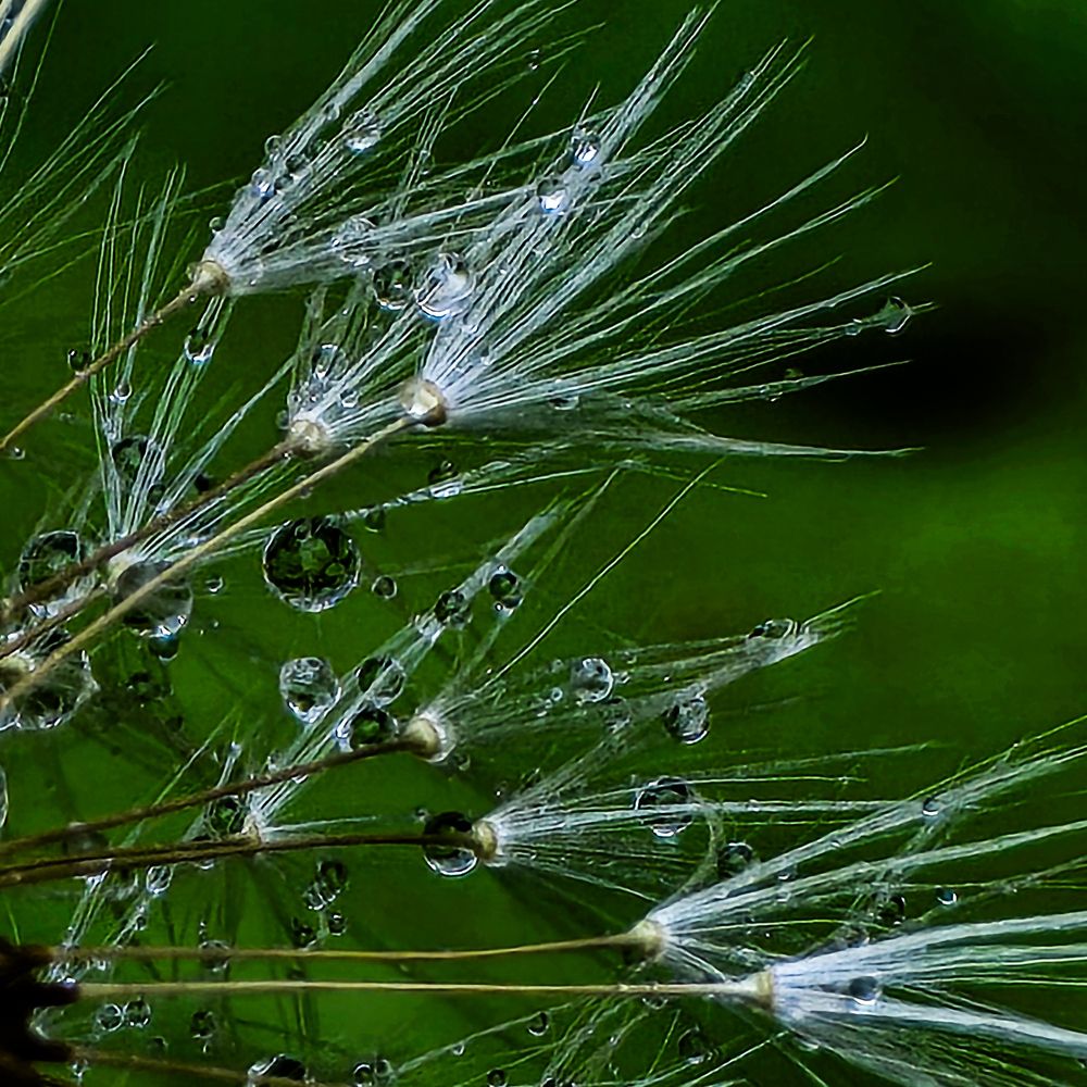 Фотография автора Нина Зинченко
