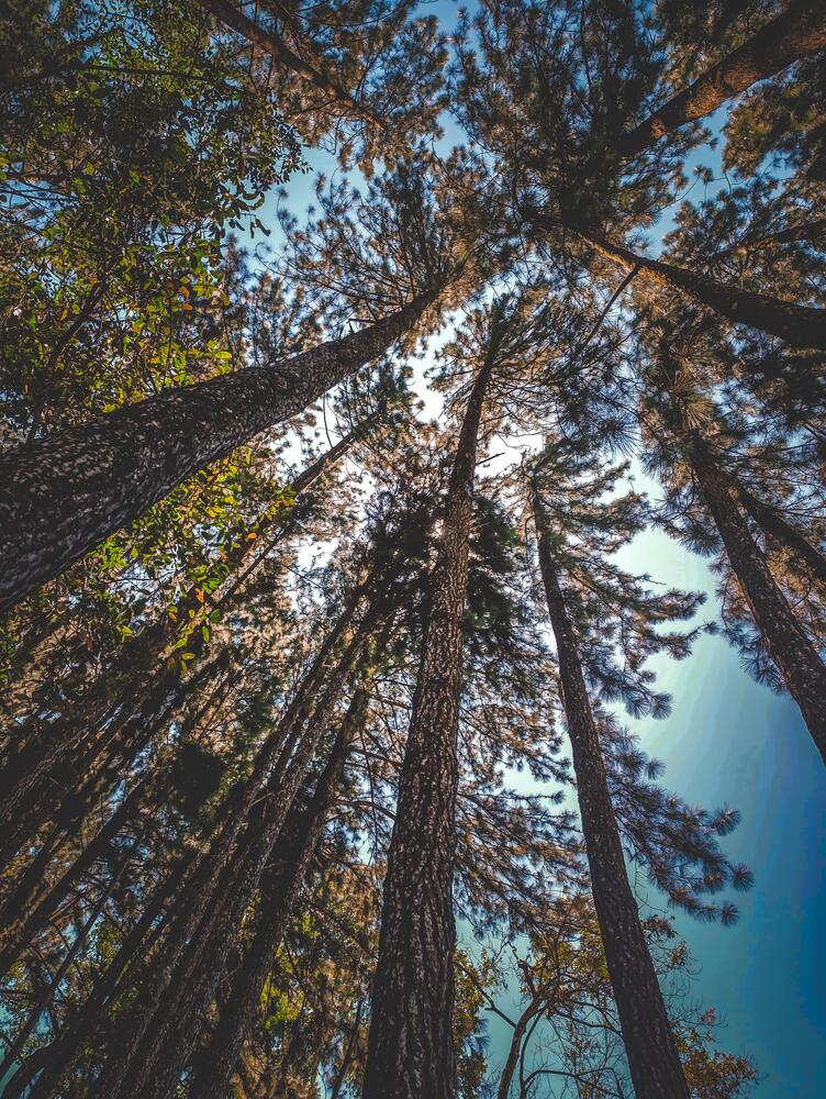Photograph by Musaraf Mohamed