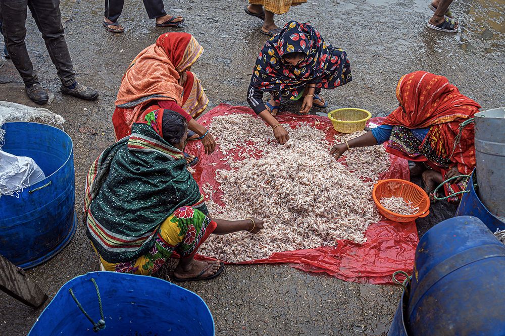 Red Hands, Blue Barrels