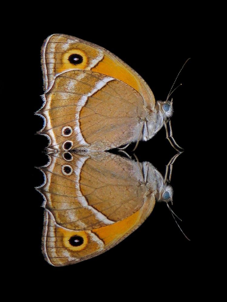 Photograph by Amin Ghaffarian
