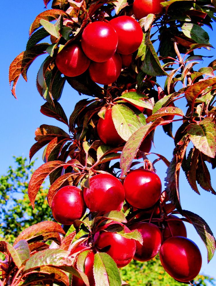 Photograph by Виталий Симоненков