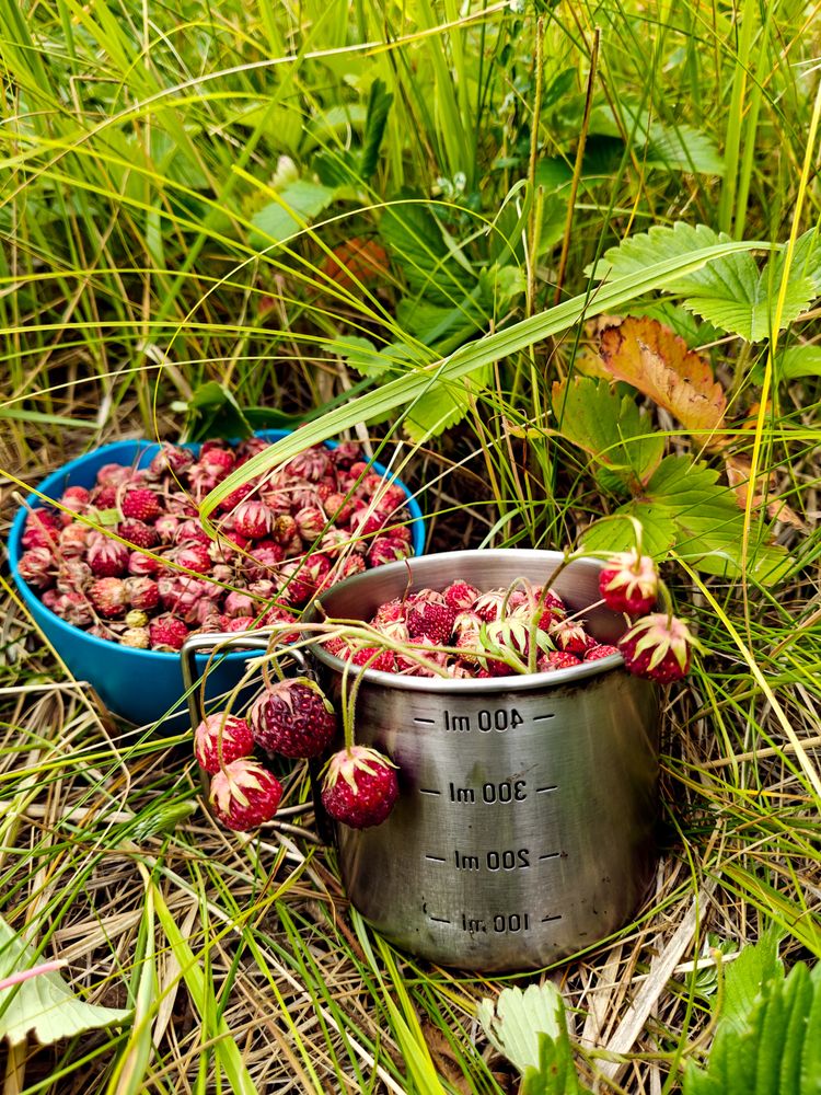 Photograph by Сергей Конюшенко