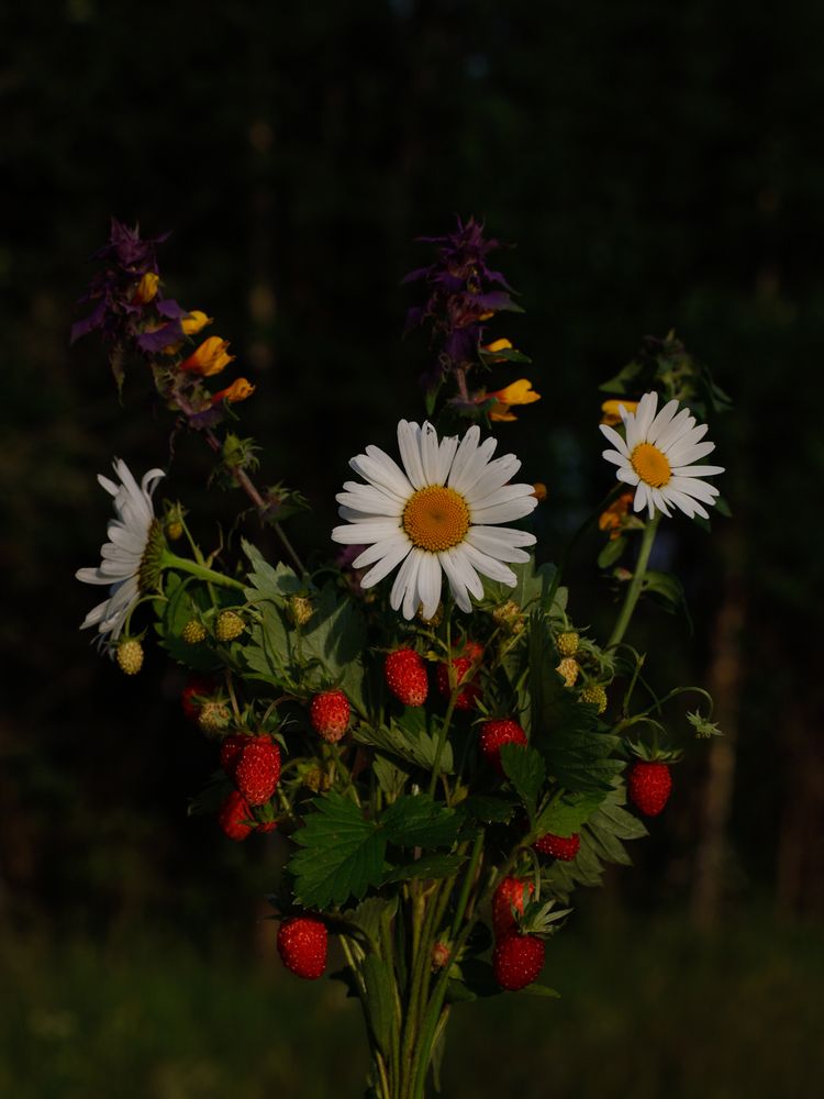 Photograph by Сергей Конюшенко