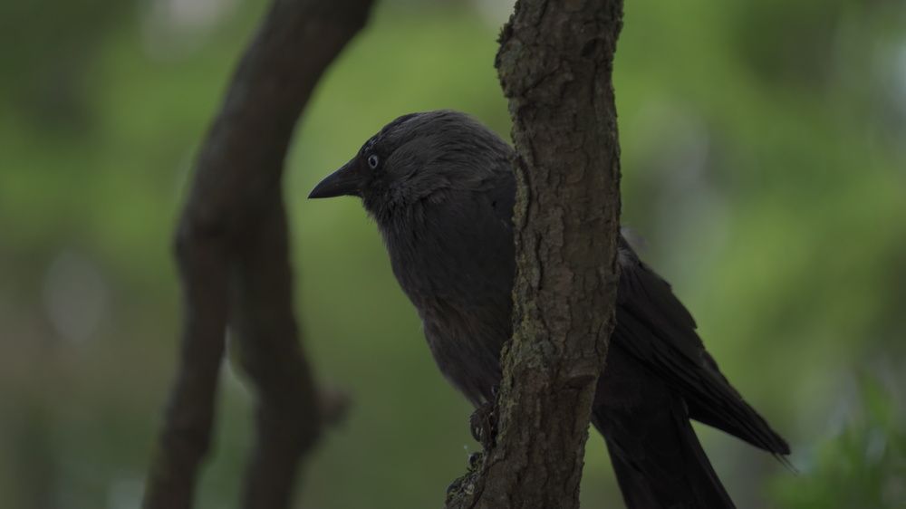 Photograph by Александр Климов