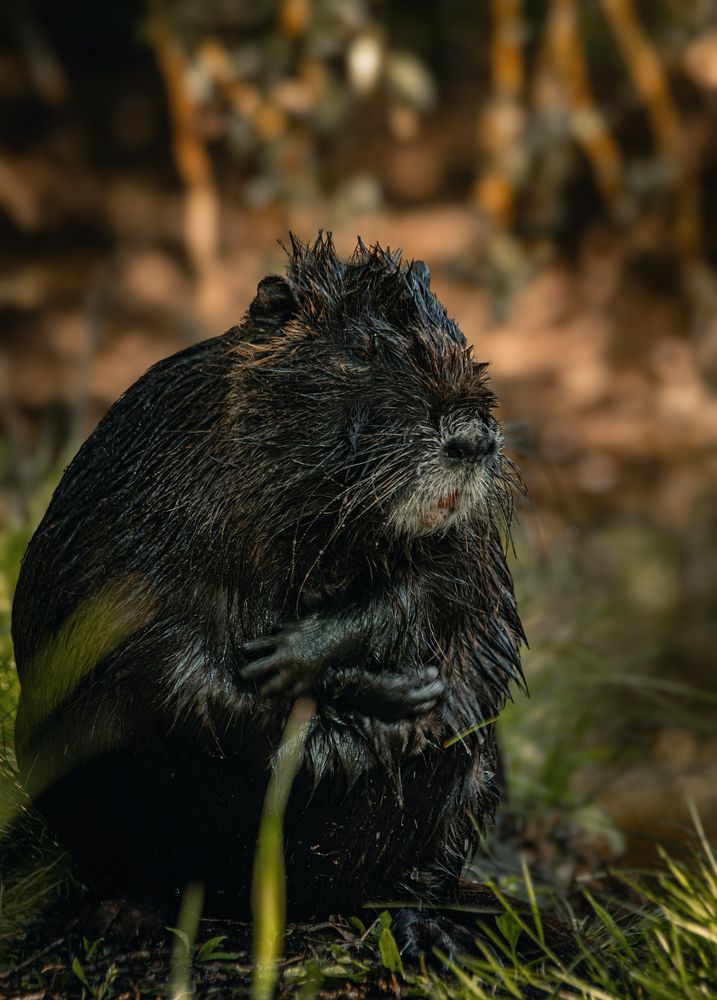 Photograph by Даниил Сырбу