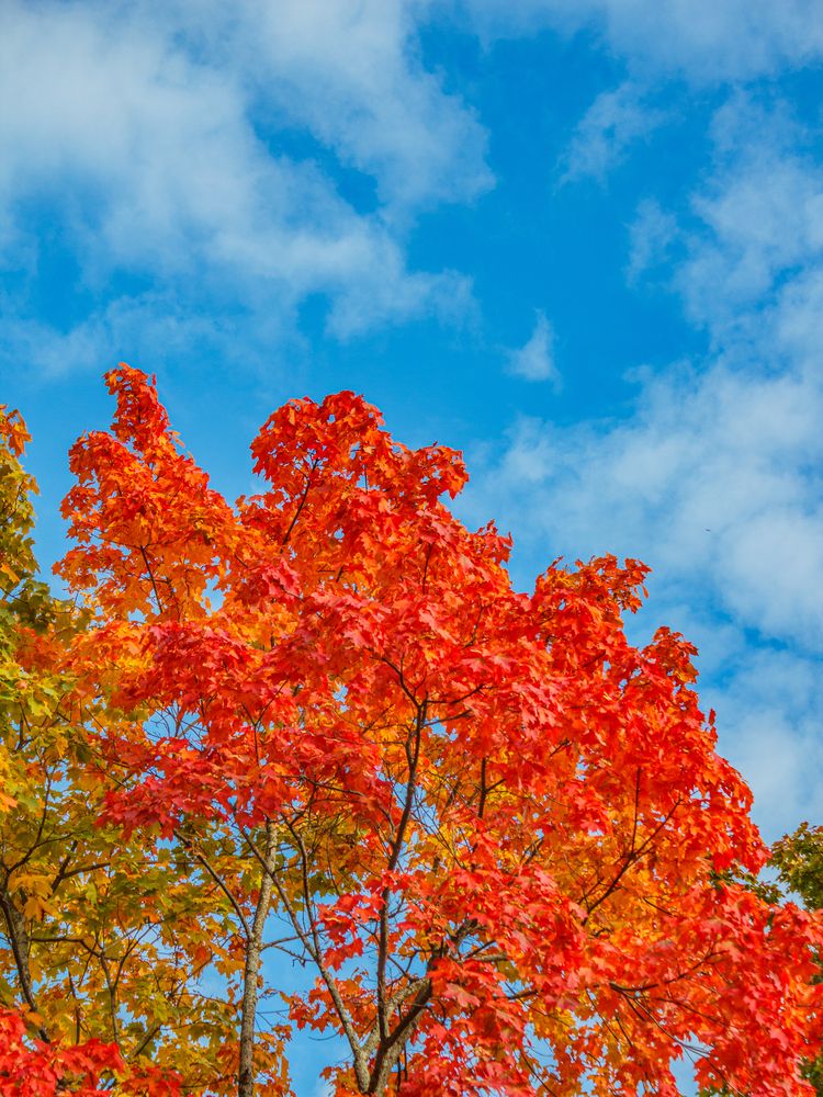 Фотография автора Таисия