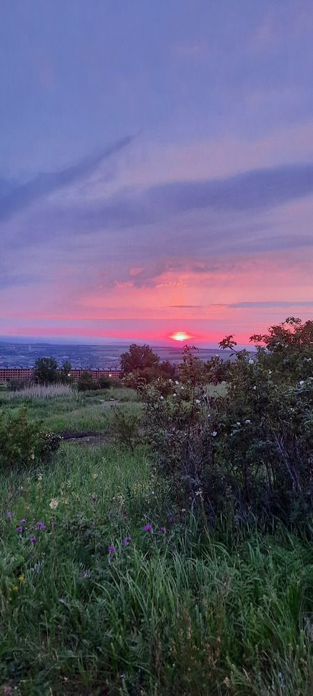 Photograph by Елена Валерьевна