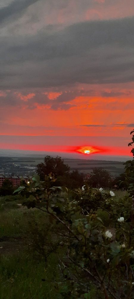 Photograph by Елена Валерьевна