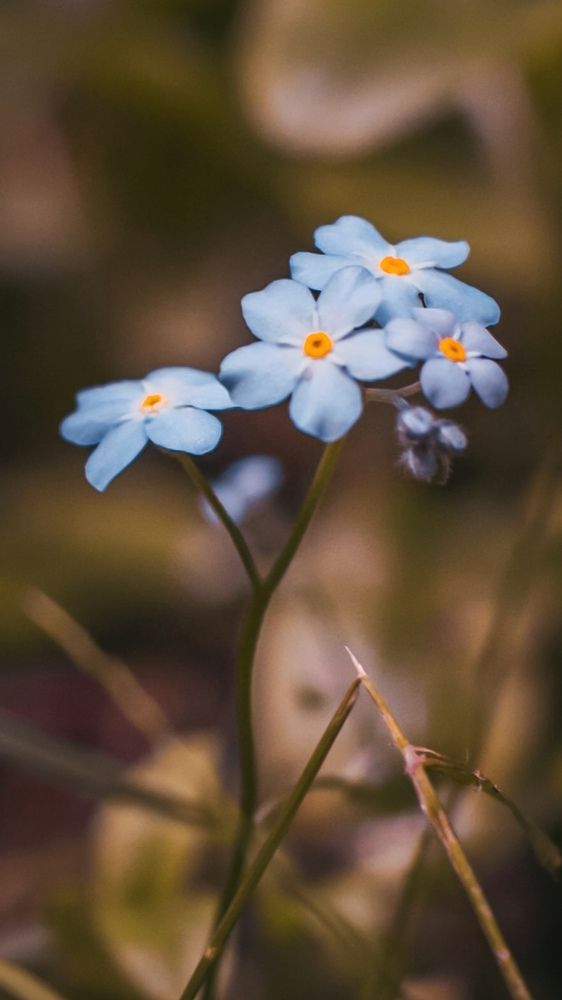 Photograph by Игорь Лузин