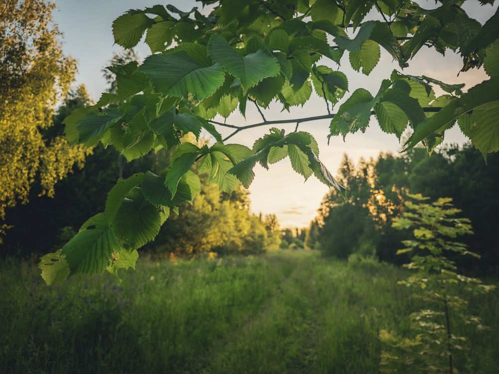 Photograph by Кирилл Сидоров