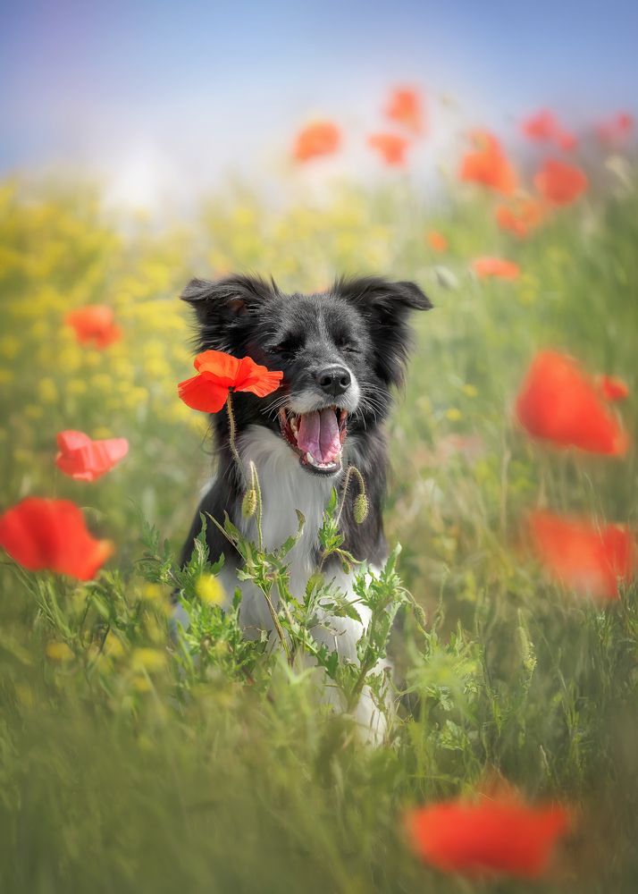 Photograph by Наталья Орел