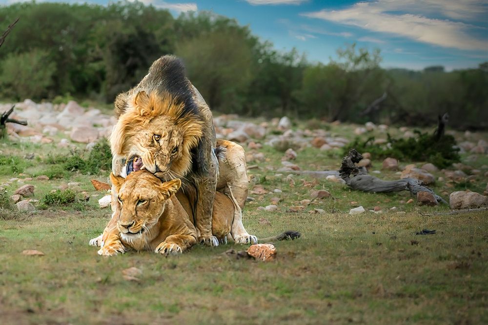 Фотография автора Bhupender Gupta