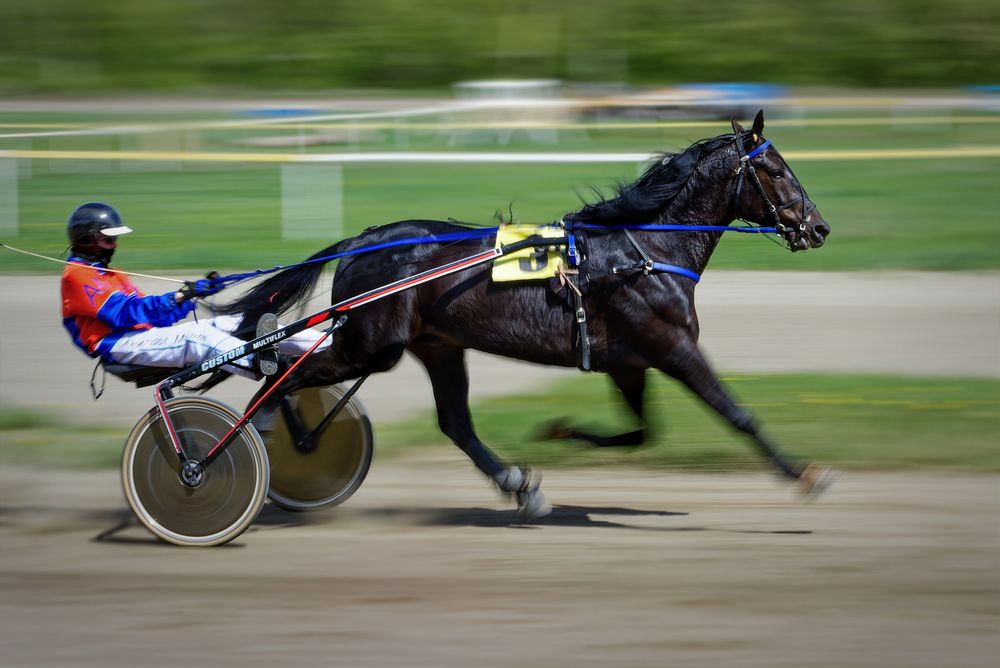 Photograph by Александр Перегудов