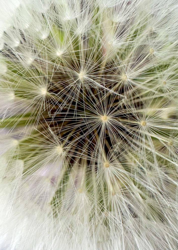 Photograph by Елена Болдырева